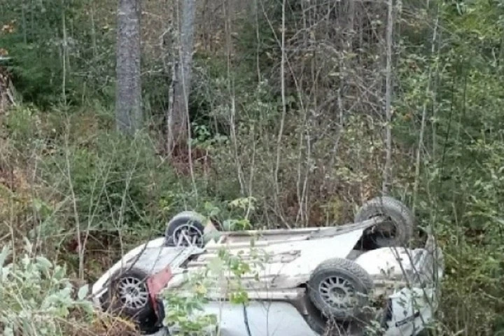 🏎️ В Карелии пять машин сошли с трассы на ралли