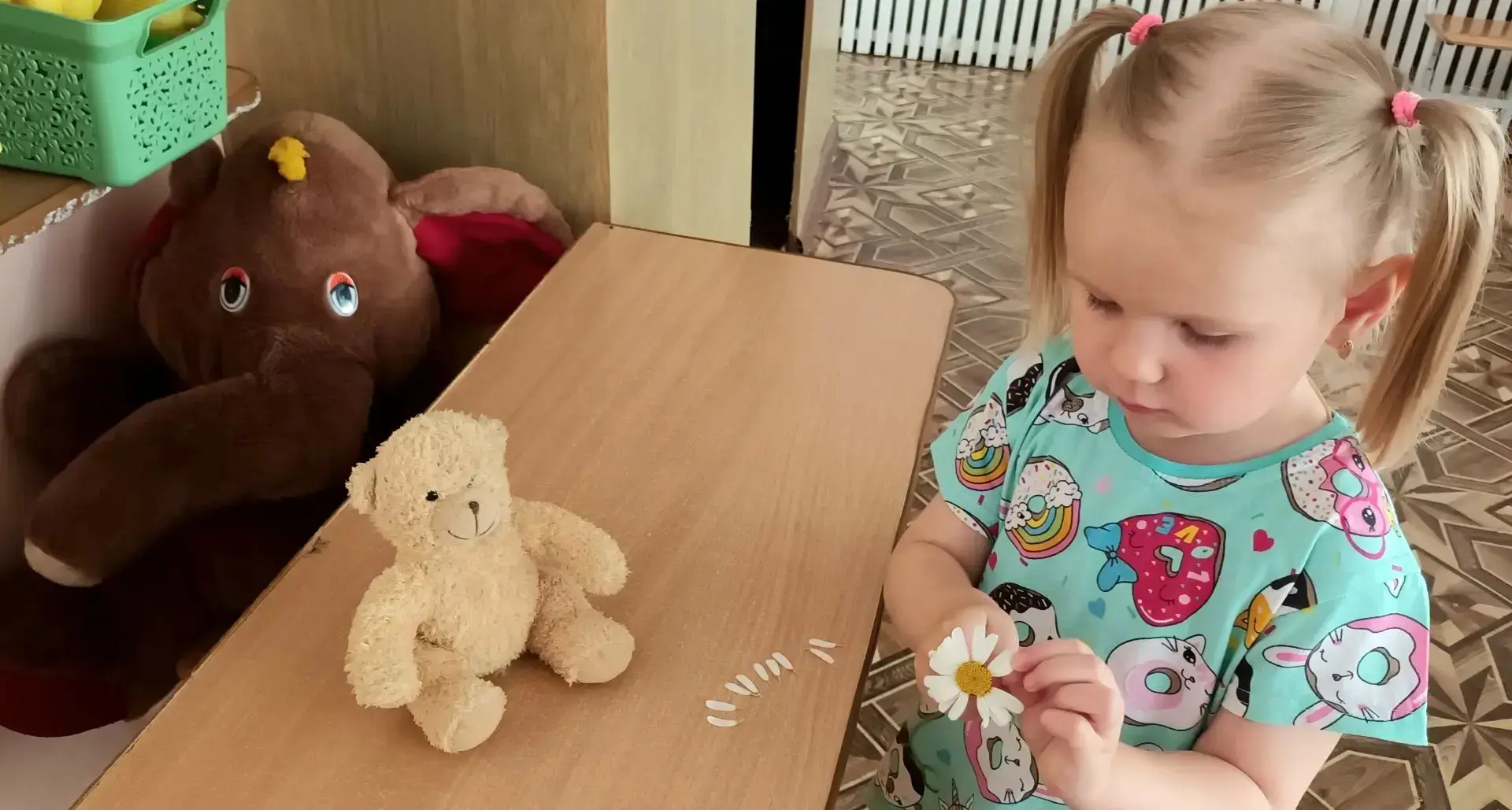 Сегодня, 24 июня мы отметили чудесный праздник — День ромашки. Этот нежный полевой цветок издавна сч