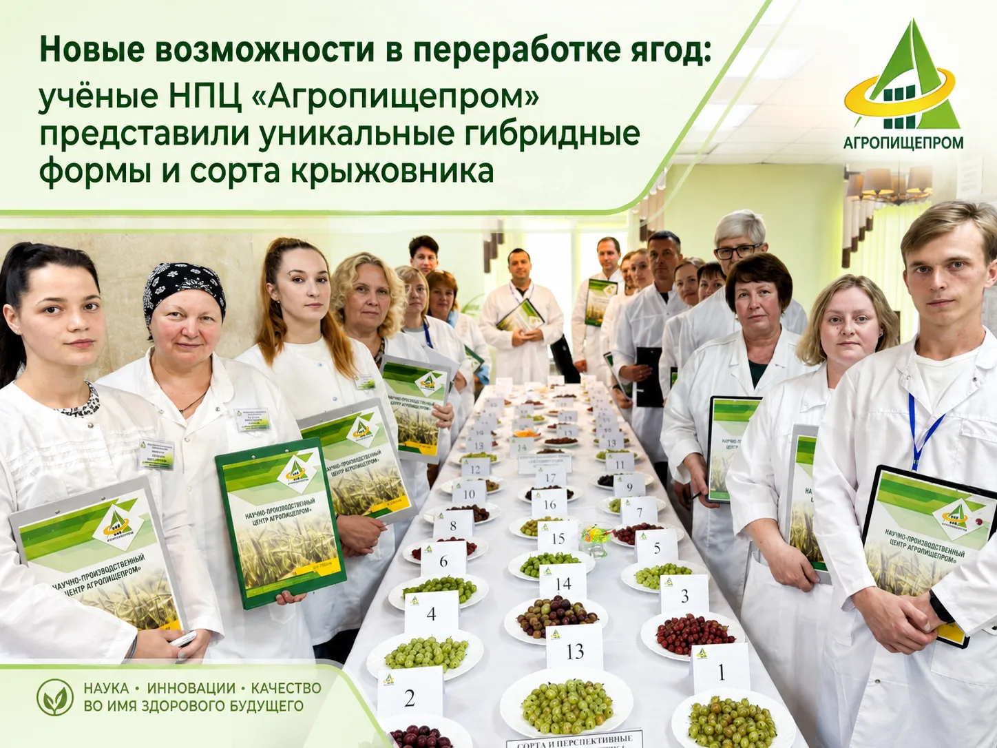 🍈 Новое представление о возможностях переработки ягод