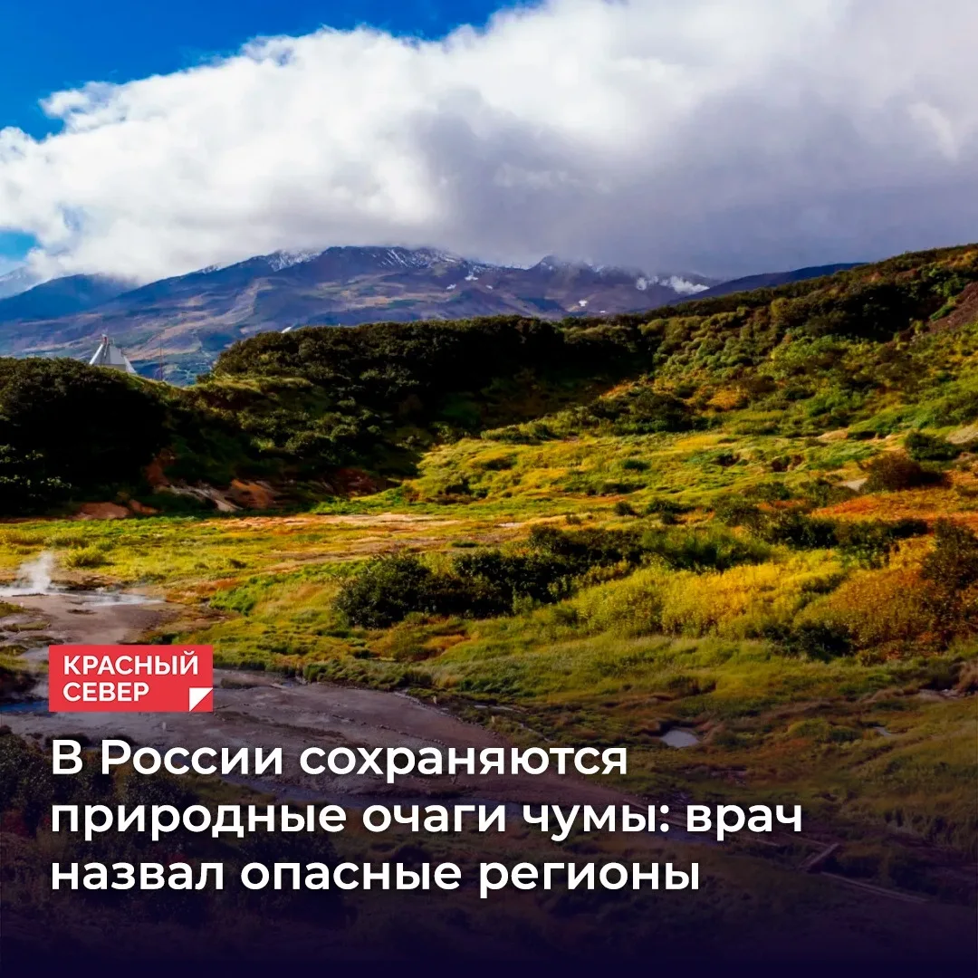Туристам на заметку: в нескольких регионах России сохраняются активные природные очаги ...