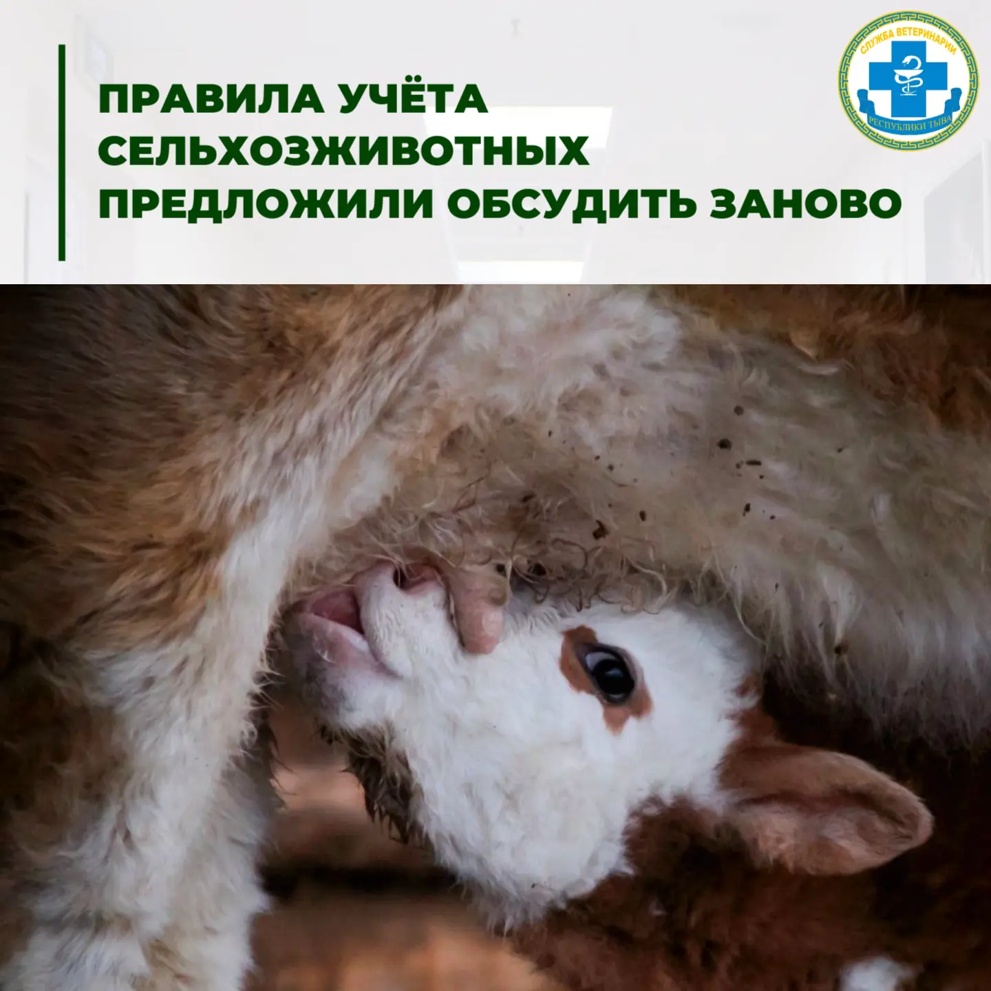 📊Госдума предложила правительству пересмотреть правила маркировки и учёта сельскохозяй...