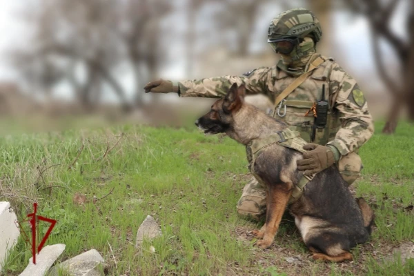 🔺Свыше 250 нарушителей закона и режима военного положения задержали за неделю бойцы Росгвардии, нес