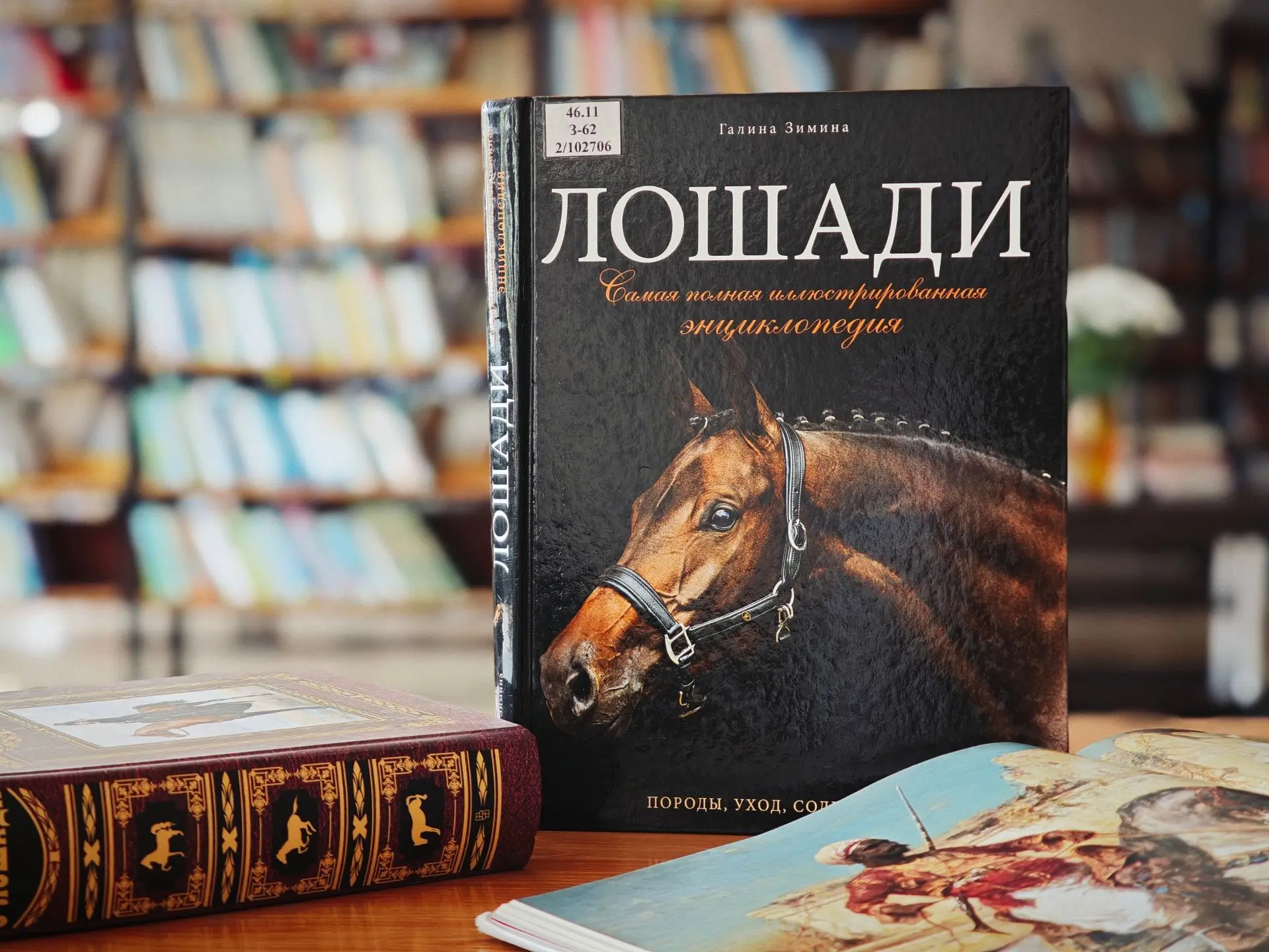 🐴 Сила, верность и грация: как разные народы почитали коней (6+)