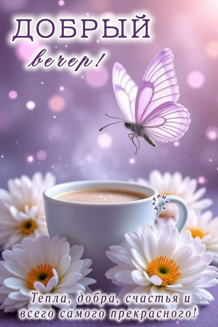 Доброго и уютного вечера! ✨💐