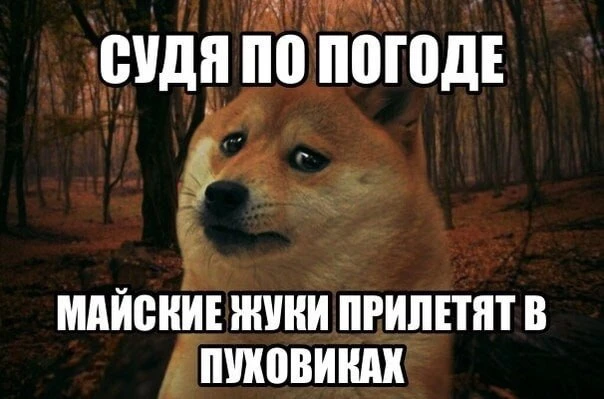 🌡 Из жары в мороз: резкое похолодание ждет ХМАО  После пика тепла с температурами до +25…+30 °C, кот