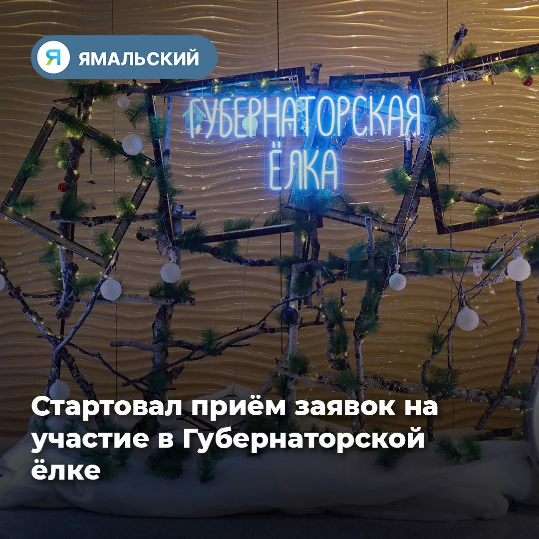 Губернаторская ёлка ждет участников🎄