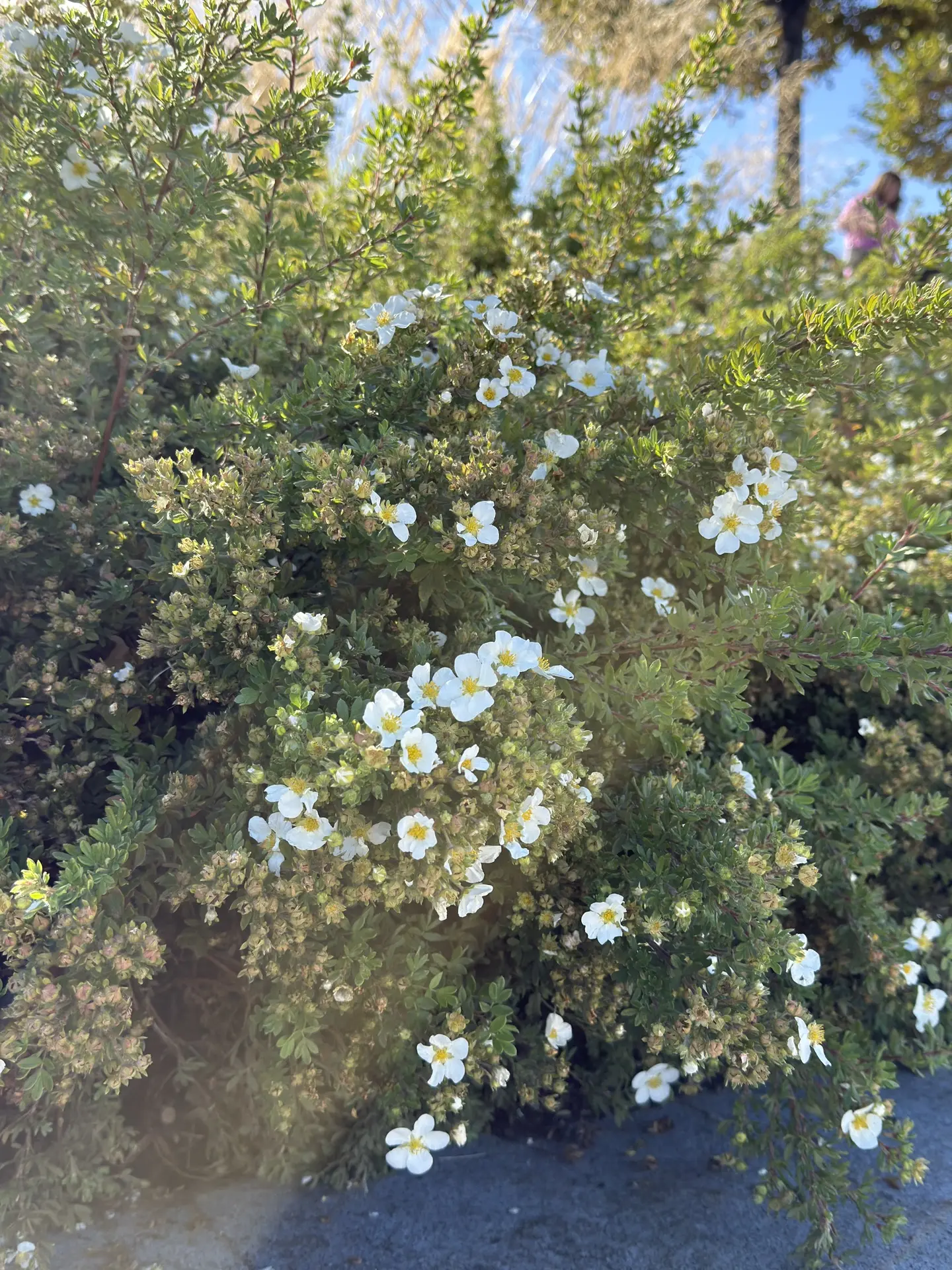 ХӘЕРЛЕ ИРТӘ☀️☀️☀️