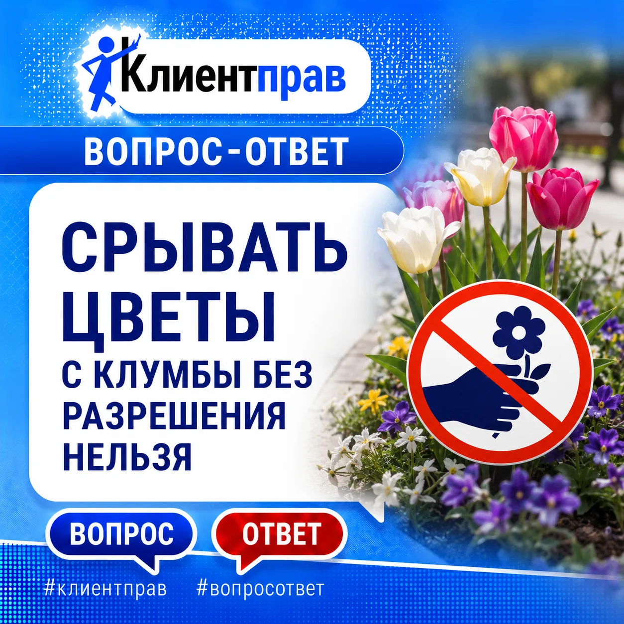 ❓Я пенсионерка и очень люблю цветы. Иногда по дороге домой срываю несколько тюльпанов или пионов с г