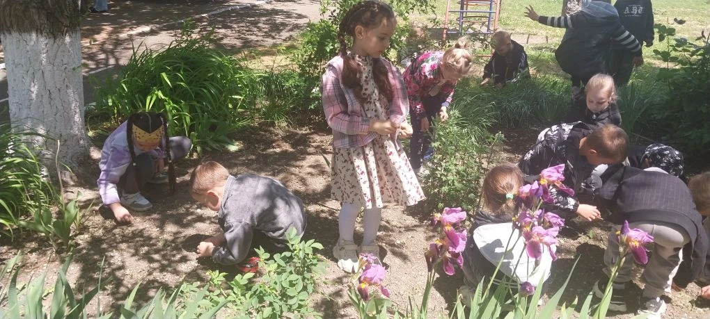 ✨️В рамках проведения акции "Цветущий сад Эколят", воспитанники средней и подготовитель...