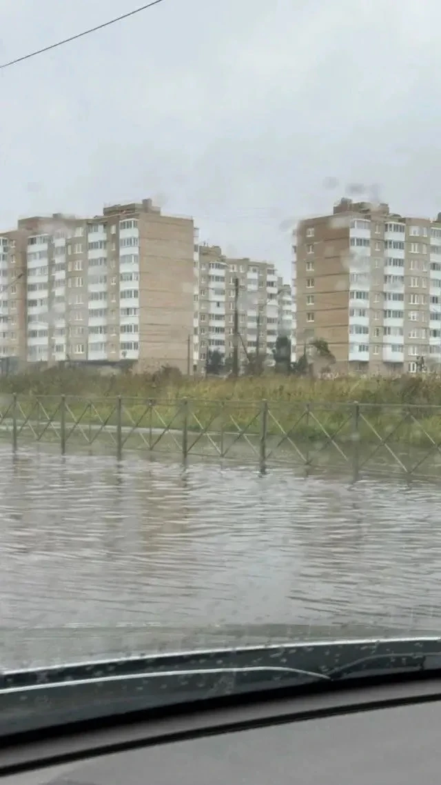 ⚠️ В Горелово дерево упало на Красносельское шоссе — образовалась пробка.