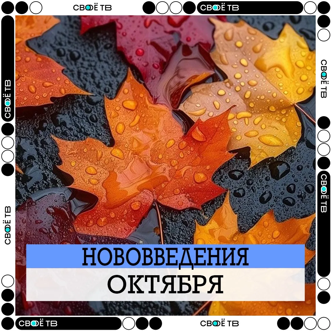 🍂 ЧТО ИЗМЕНИТСЯ С 1 ОКТЯБРЯ