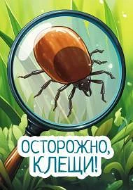 Осторожно, клещи! Памятка для жителей Пожарского района ⚠️🕷️