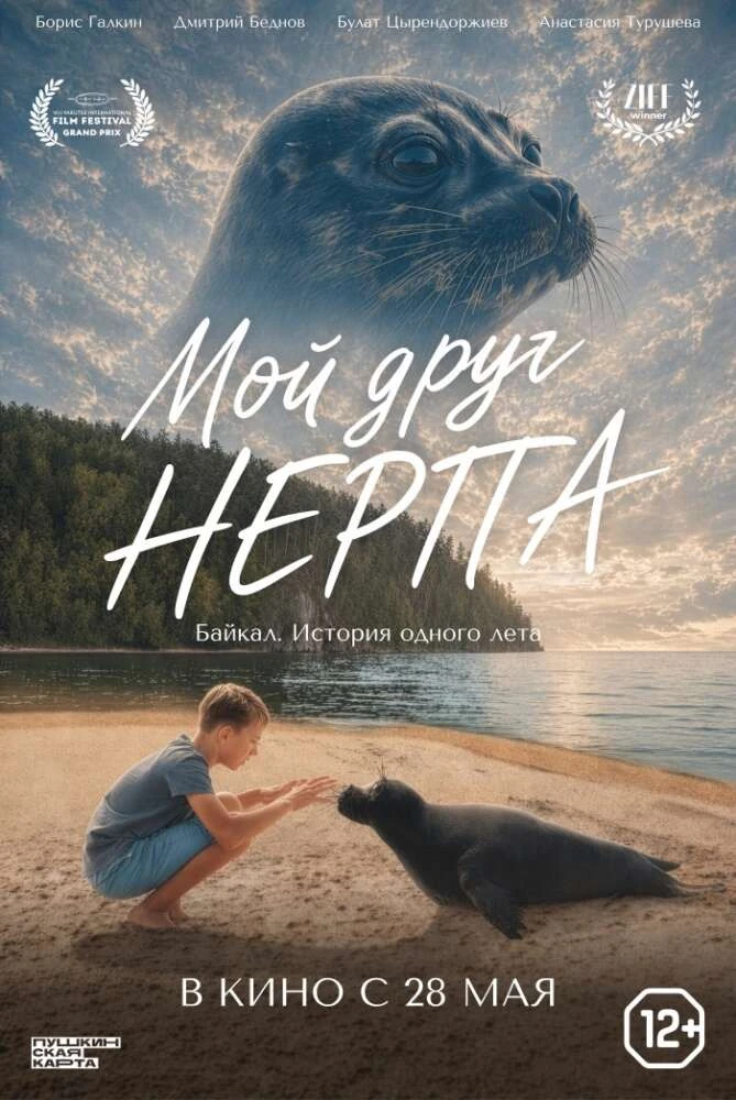 Нерпы из Забайкальского национального парка - на большом экране! 🤗