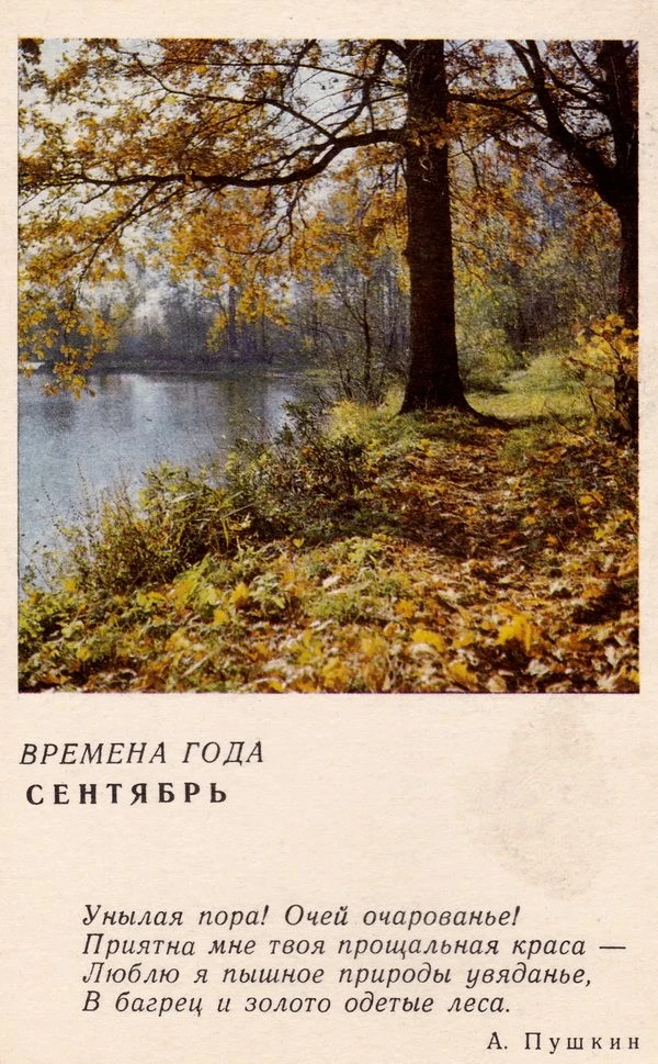 Ну что, уважаемые тележане, лето официально — ВСЁ! 😭