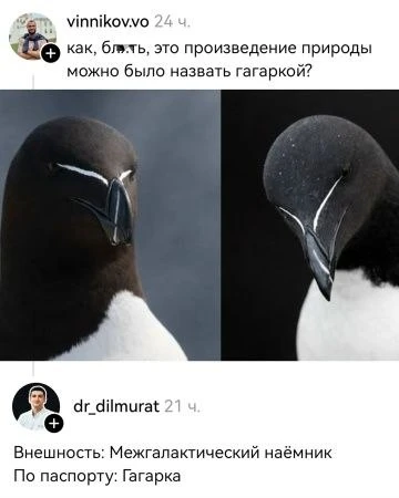Изображение 1 к публикации «ЯРжал! 😂 | Юмор»