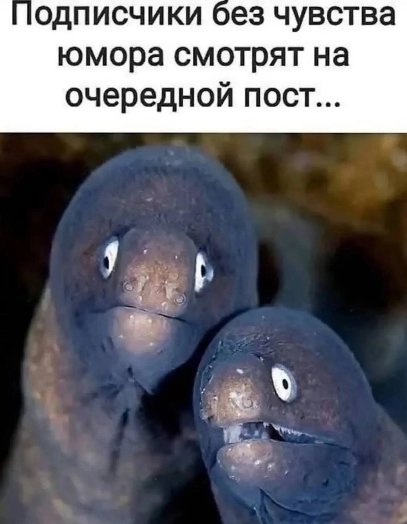 Извинитесь.