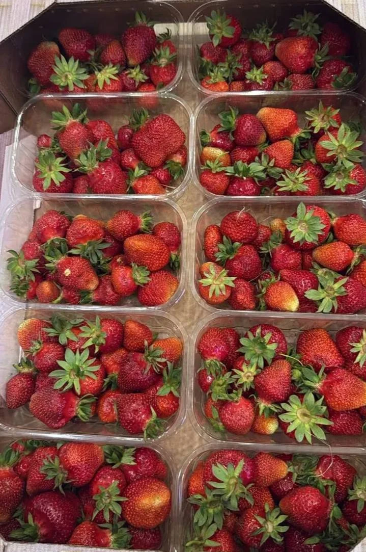 Сегодня наконец купили очень сладкую вкусную клубнику, она такая ароматная, не парников...