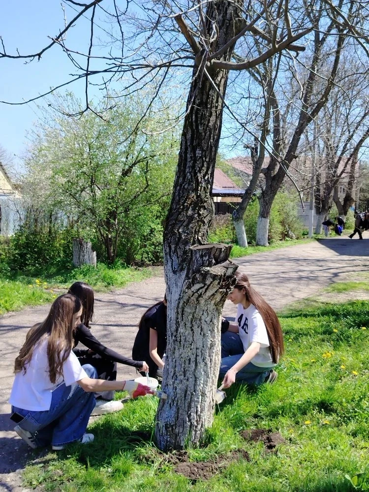 "Мы за чистоту " - под таким девизом 17 апреля 2026 года вышли  на субботник  обучающиеся  5-11 клас