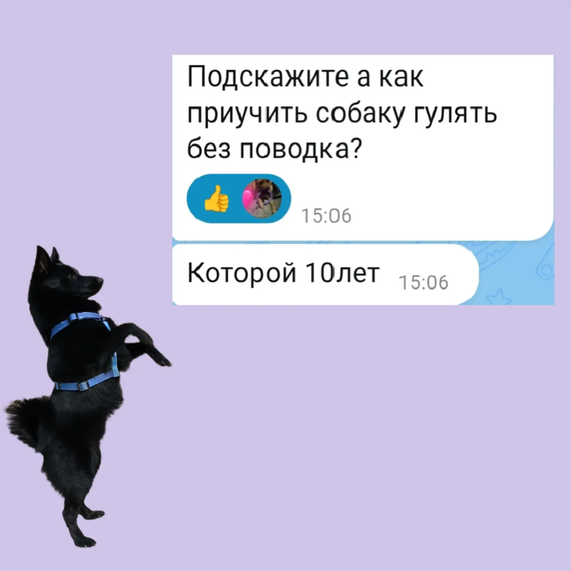 Продолжаю отвечать на вопросы из комментариев, сегодня этот: