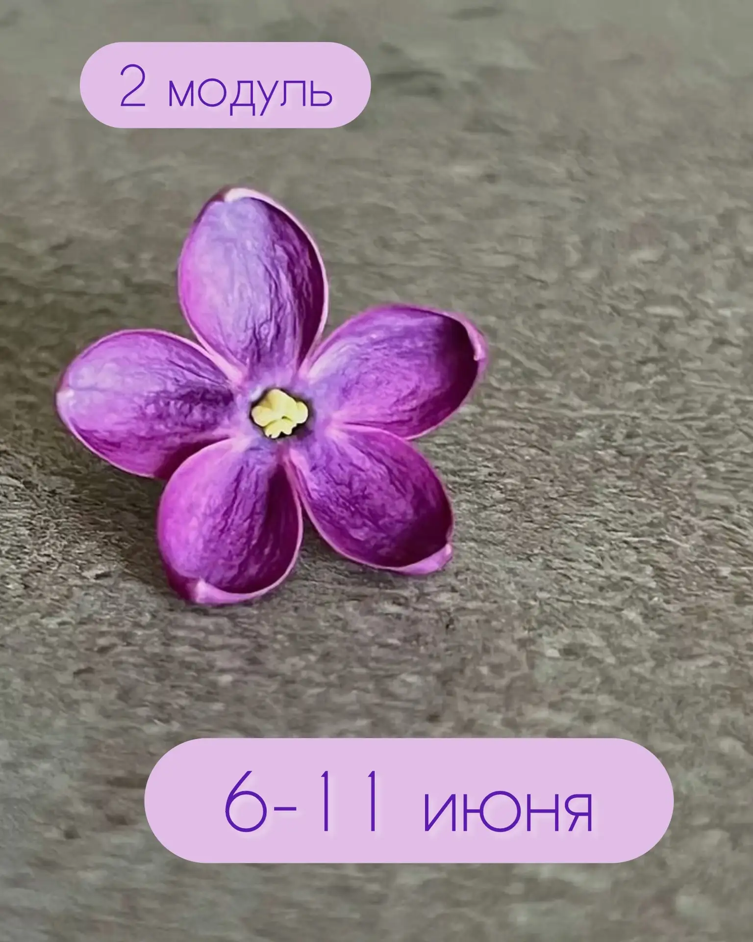 #вашиотзывы