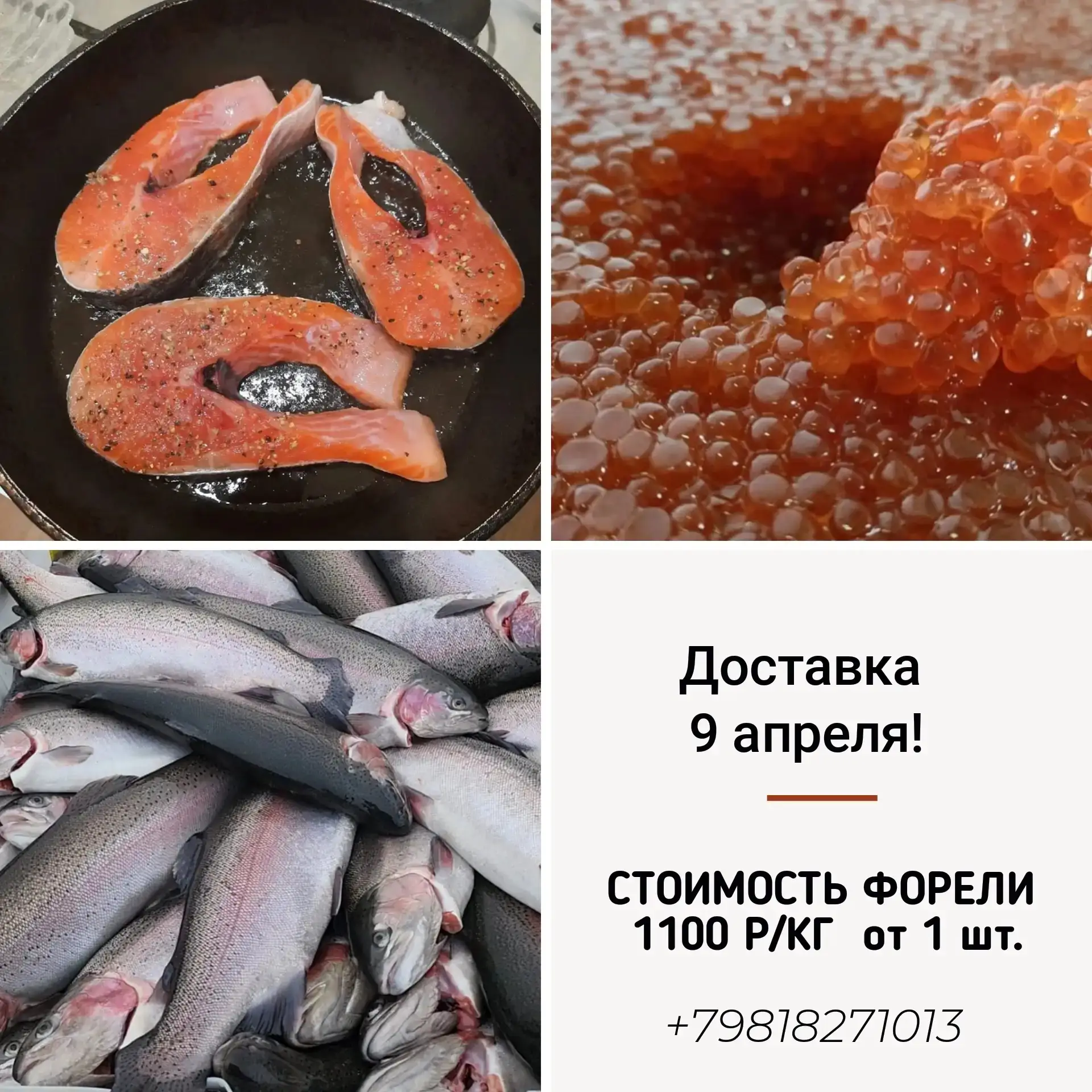 🤗Принимаем заказы на свежую форель из Карелии!
