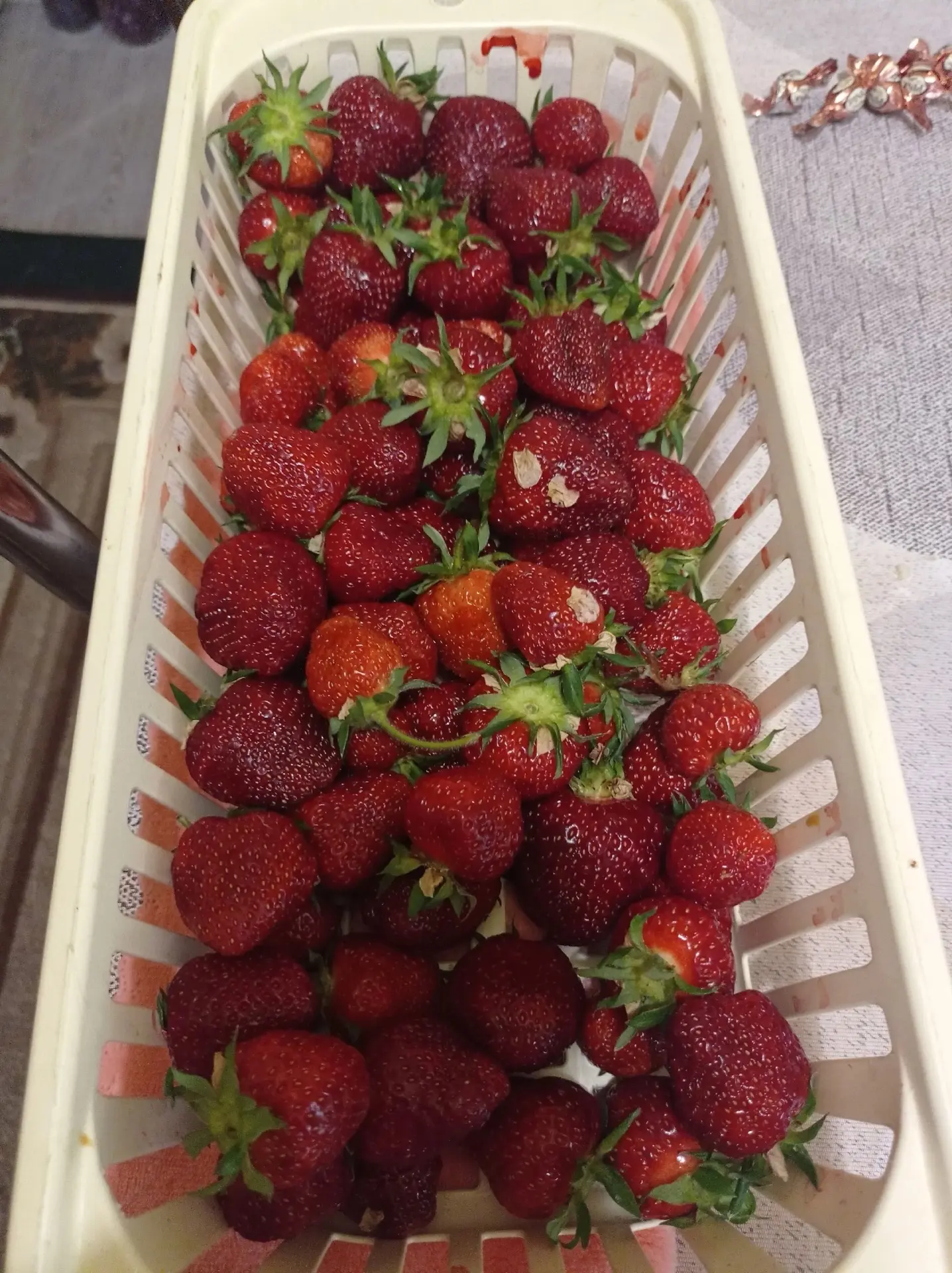 🍓 Сезон открыт! Костромичи хвастаются первым урожаем клубники