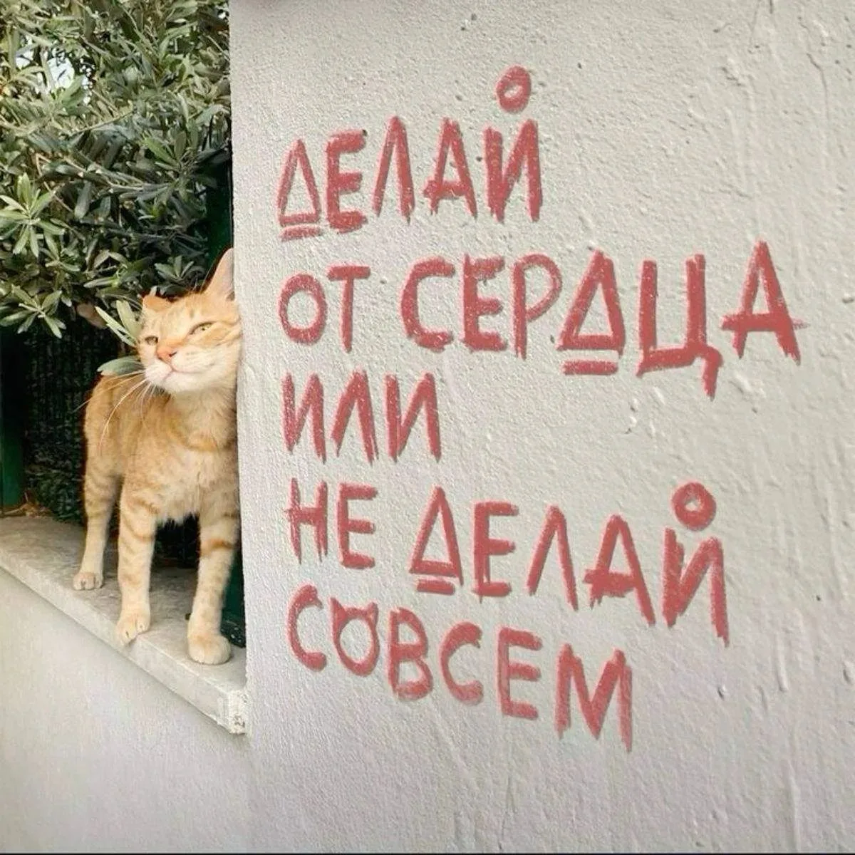#бурчалки
Как делать правильно?

Бывает такое: стоишь на кухне, в руках чайник, в голове — список де