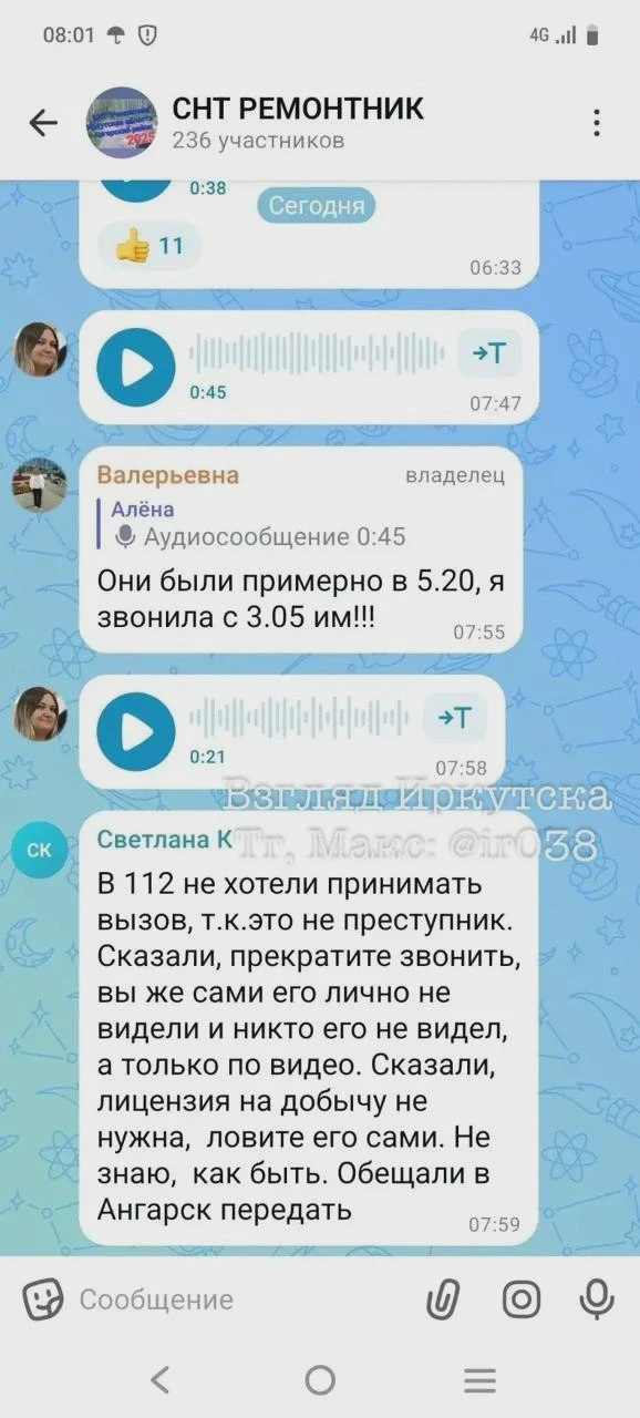 В Ангарском районе жители СНТ жалуются на медведя