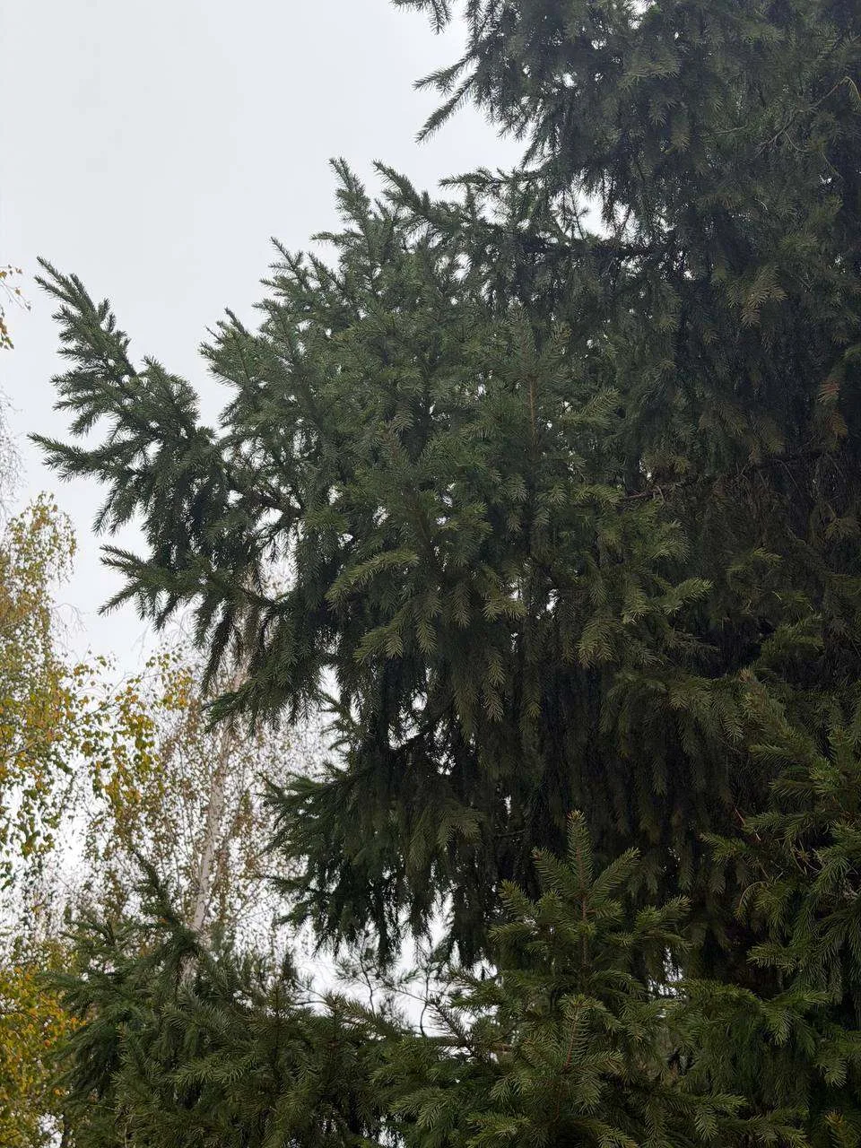 Спокойной ночи, дорогие жители Бавлинского района