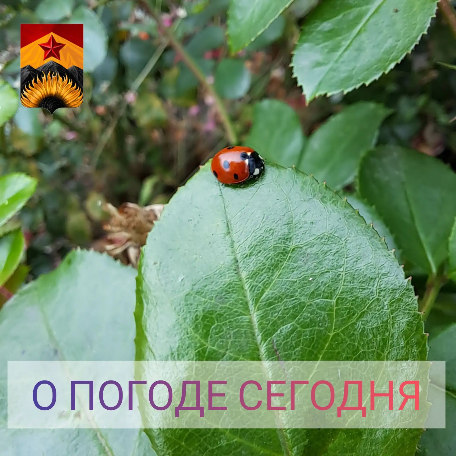 Гидрометцентр сообщил о погоде в Шахтерском округе