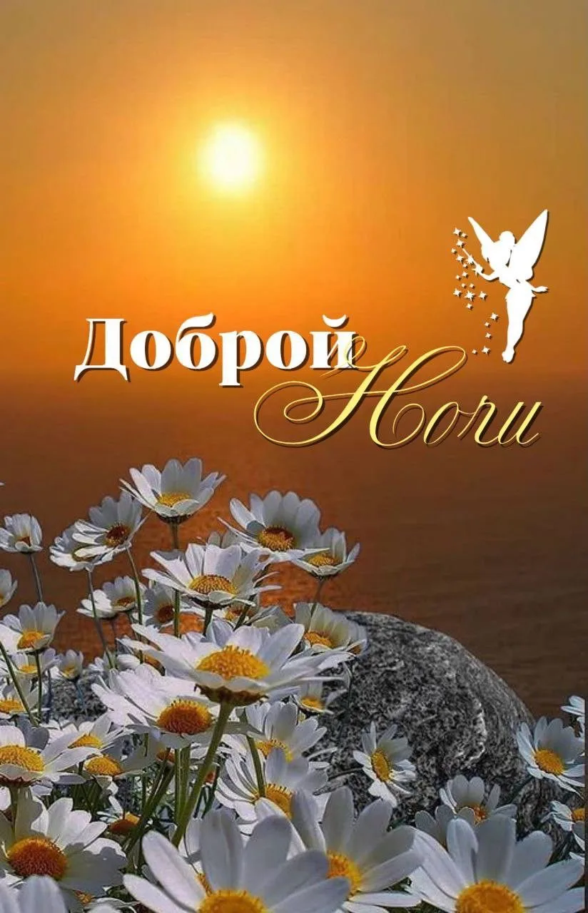 Красивые открытки❤️