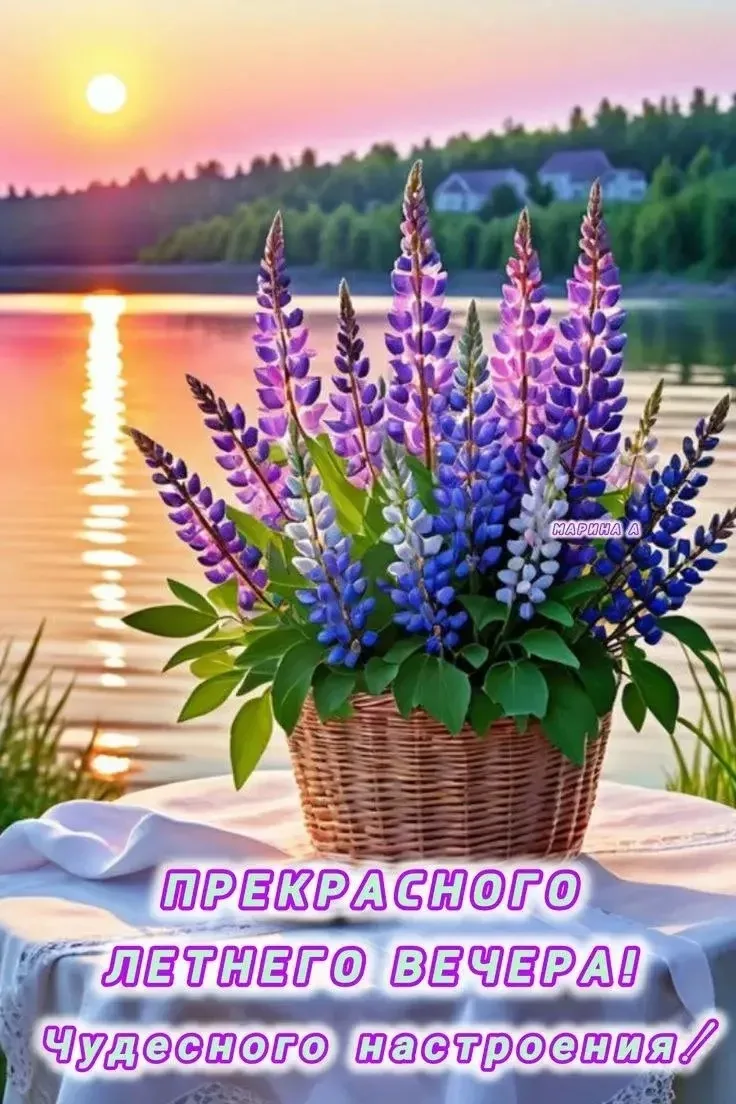 ЛУЧШИЕ ОТКРЫТКИ🙏
ПОДПИСАТЬСЯ!