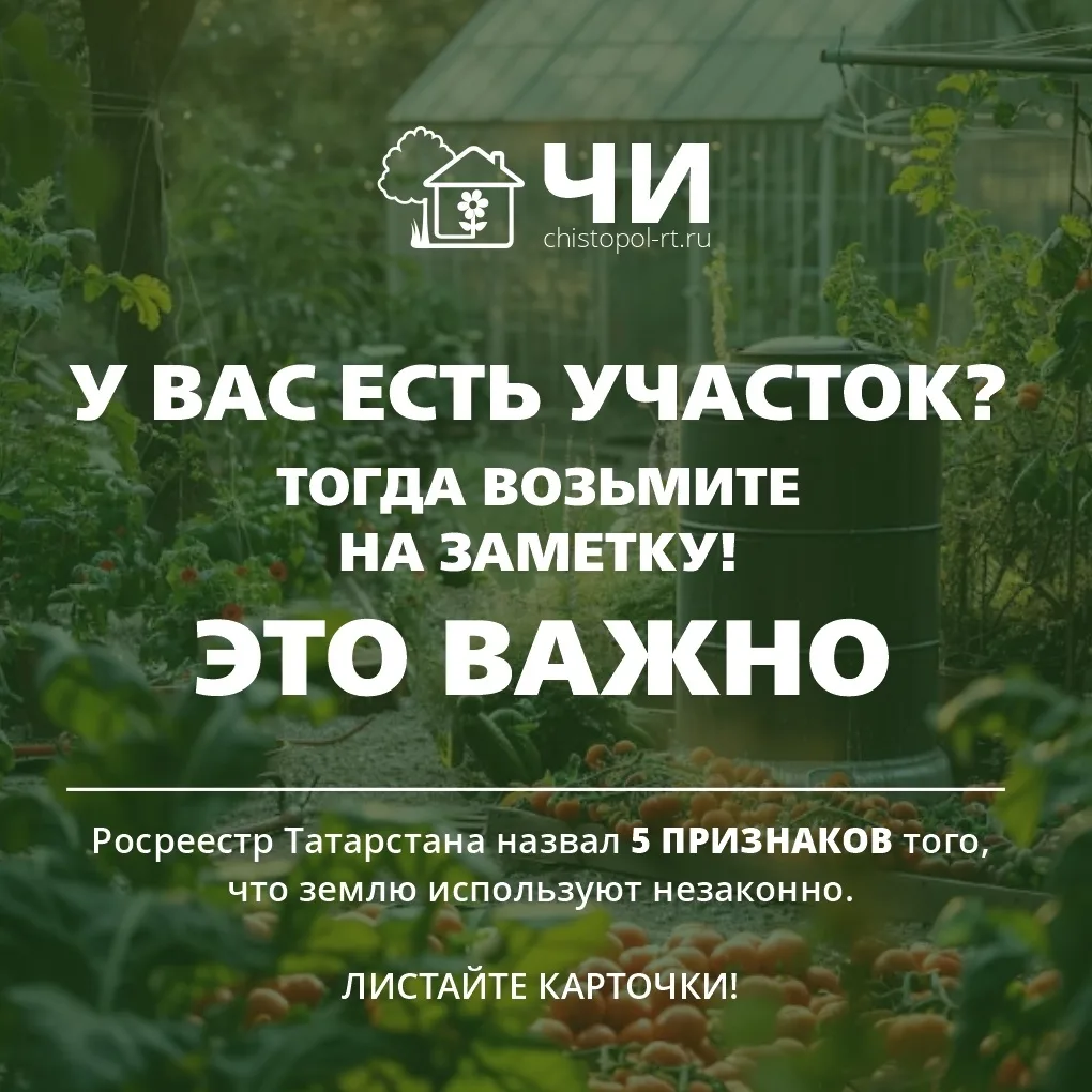 У вас есть участок — дачный, приусадебный или под стройку? 🏡