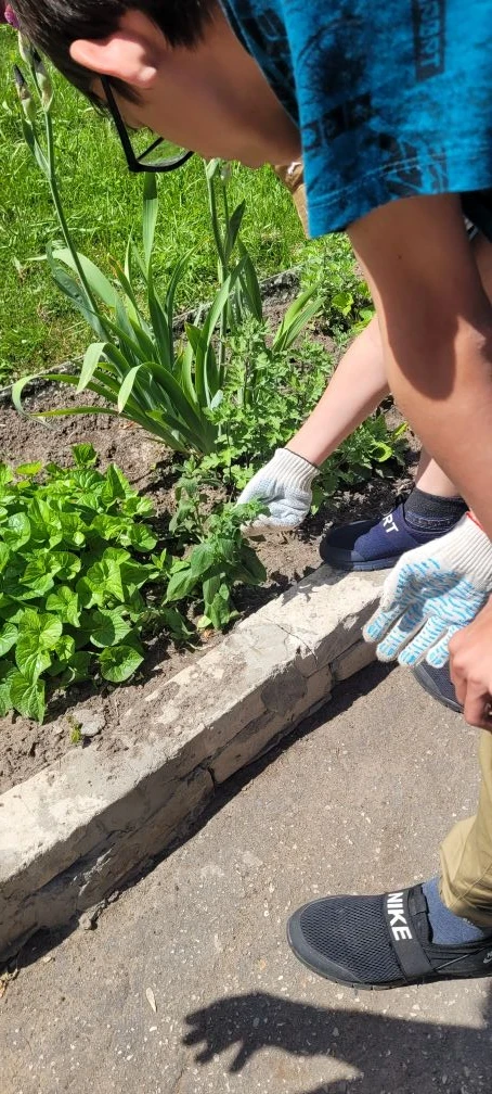 🌸 Воспитанники лагеря "Счастливые дети!" с удовольствием трудятся на школьном участке!...