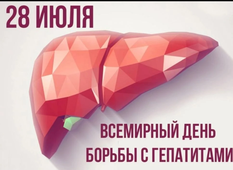 28 июля - Международный день борьбы с гепатитом 

Основными причинами хронических заболеваний печени