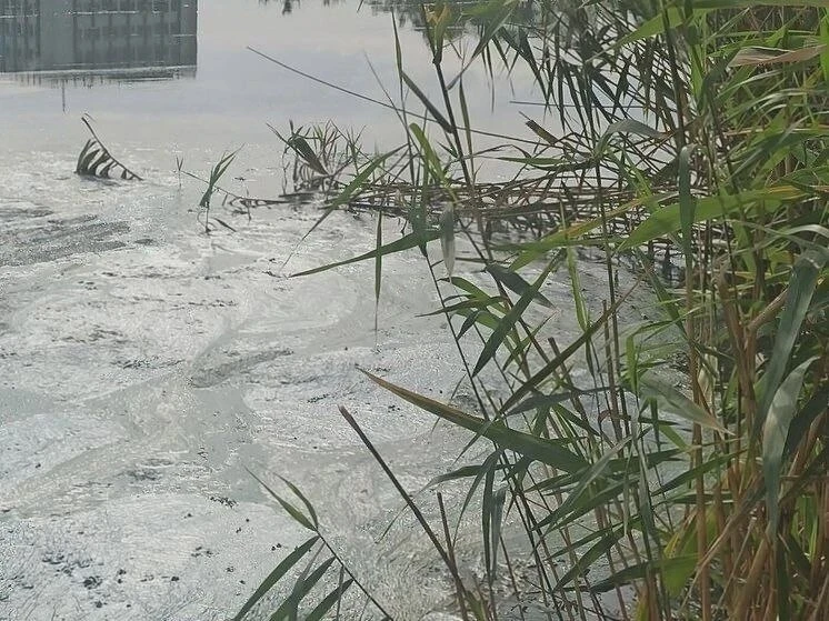 🦢 На Лебедином озере под Азовом появилась масляная плёнка
