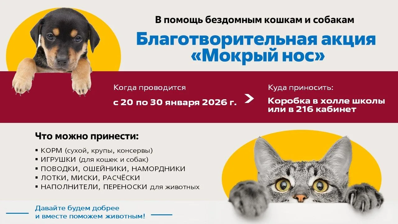 Помогать – это важно!  С 20 по 30 января 2026 года в школе проводится Акция «Мокрый нос».  Бездомные