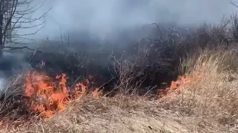 Режим повышенной готовности ввели в Домбаровском районе из-за горящей травы

Пожарные борются с возг