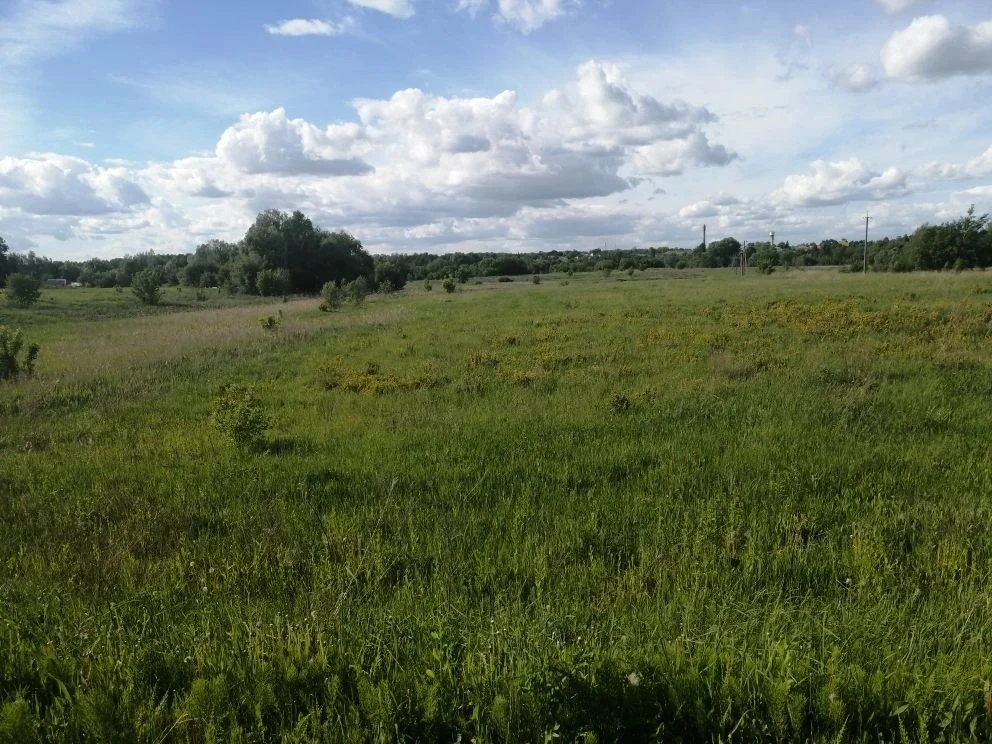 Есть что-то прекрасное в лете, а с летом прекрасное в нас.