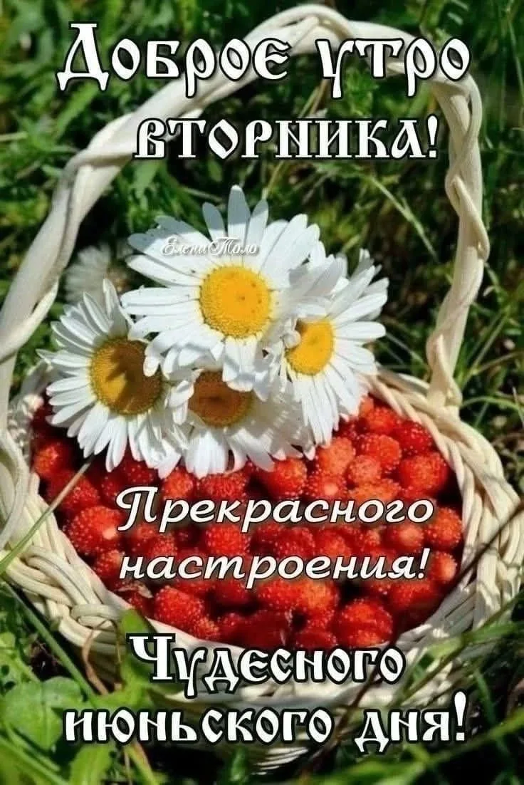 https://max.ru/invista123456