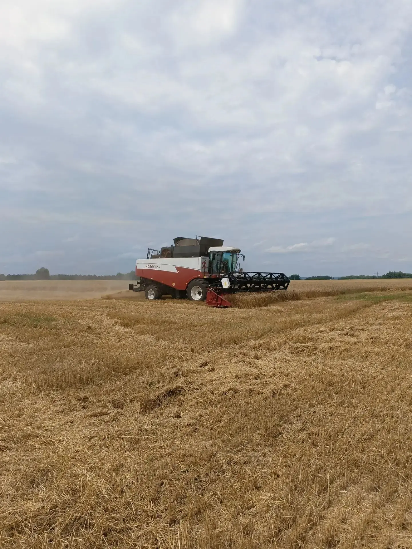 🌾Аграрии региона приступили к уборочной — трудности не стали преградой!