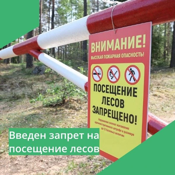 ​‼️С 12 мая 2026 года в Хабаровском крае, включая Амурский район, введён полный запрет ...