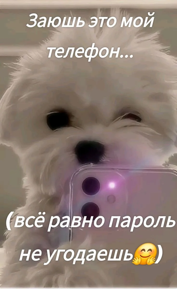 Изображение 3 к публикации «ОБОИ»
