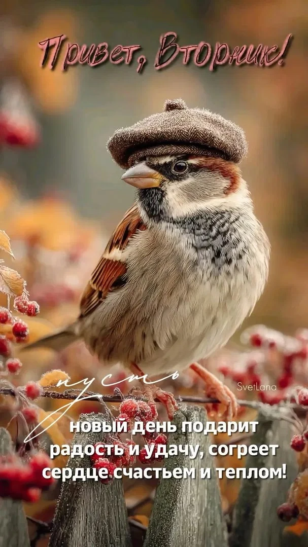 👉 ОТКРЫТКИ 💗 С добрым утром!