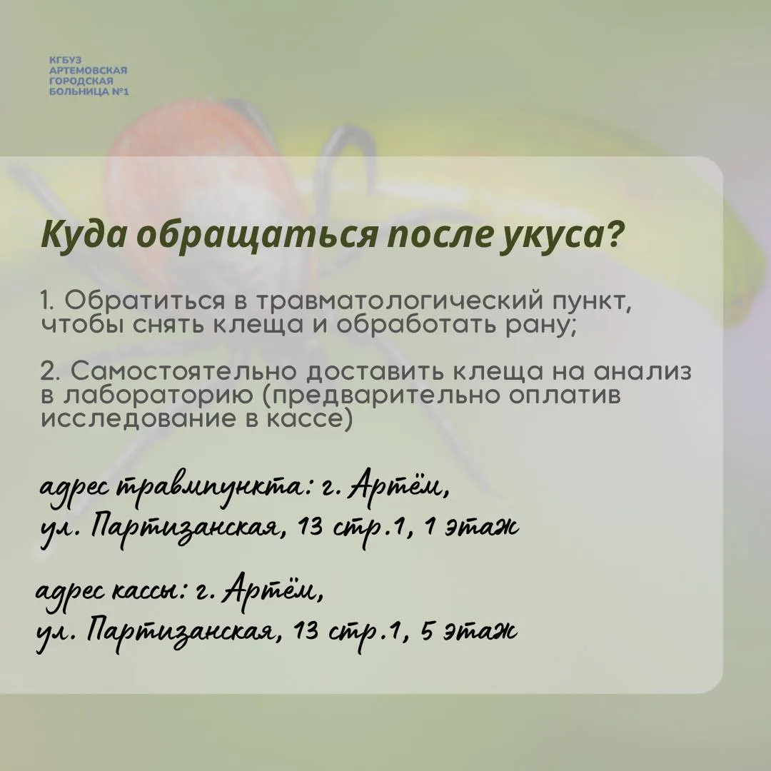 Клещи проснулись! Что делать?  Отвечаем в наших карточках на главные вопросы: как действовать при ук