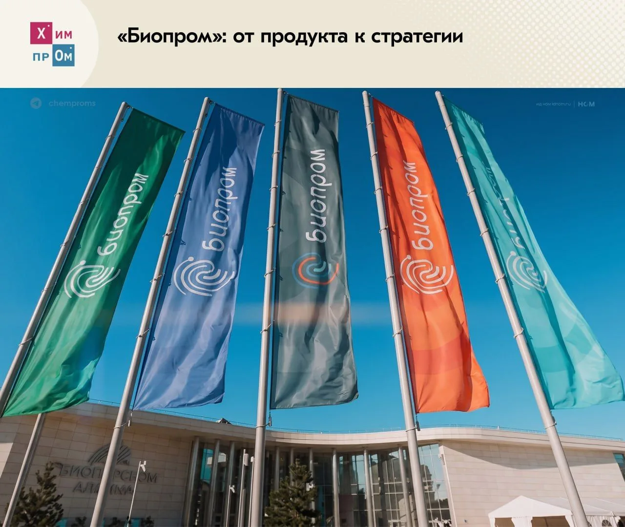 ▫️ Кислый экспорт: Россия наладит поставки лимонной кислоты за границу к 2028 году. Об ...