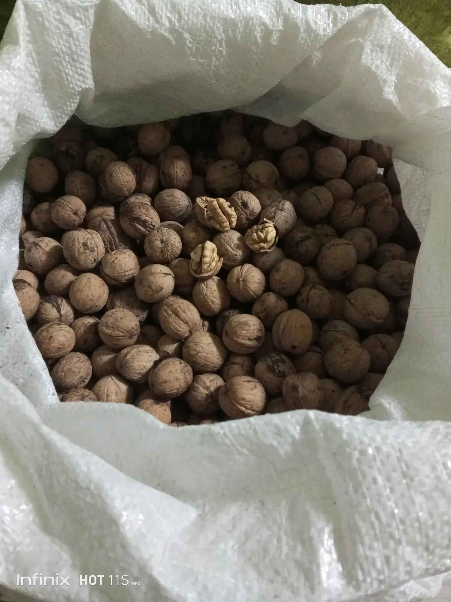 Продам грецкие орехи