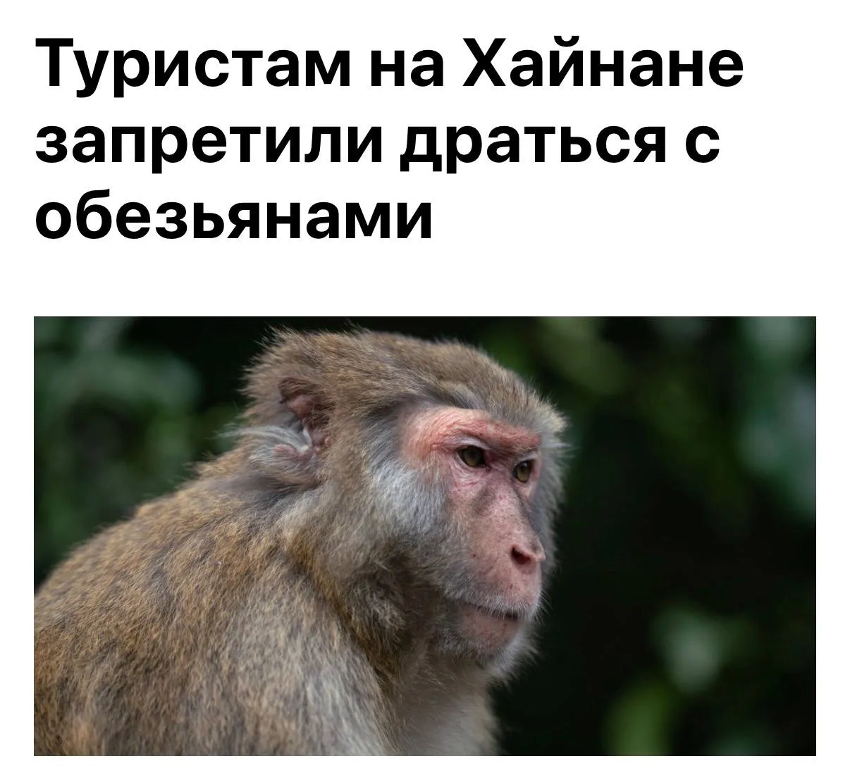 Влияют тайны древнего посева