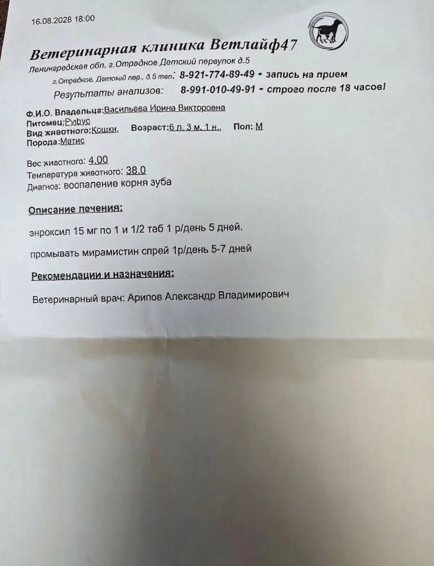 Новости про Руфуса!