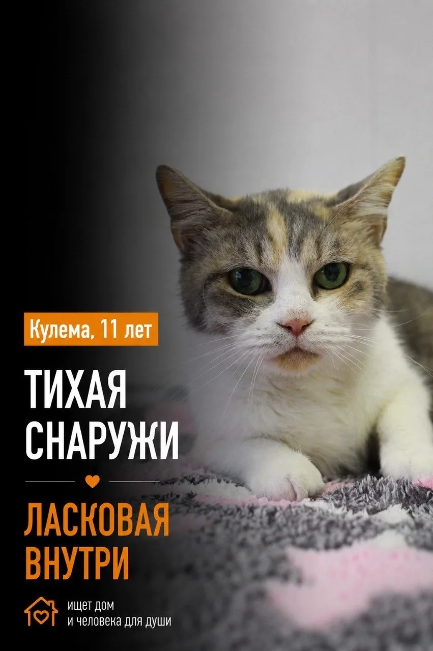 Кулёма… моя ты кулёма